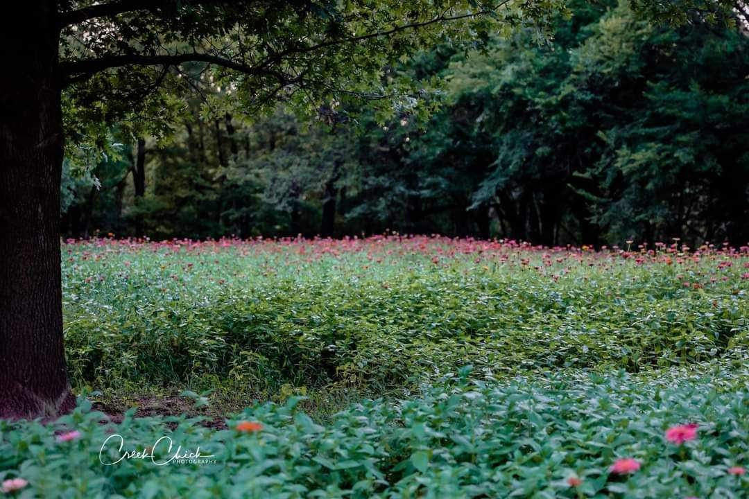 1 Hour Flower Field Booking