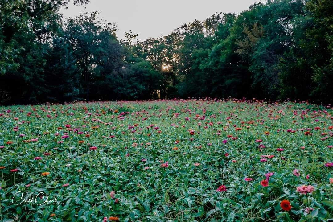 1 Hour Flower Field Booking