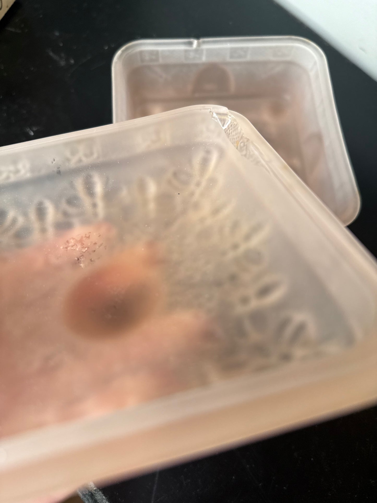 Tiara Indiana Frosted Pink Bee Box